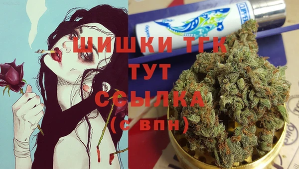 прущие грибы Аркадак