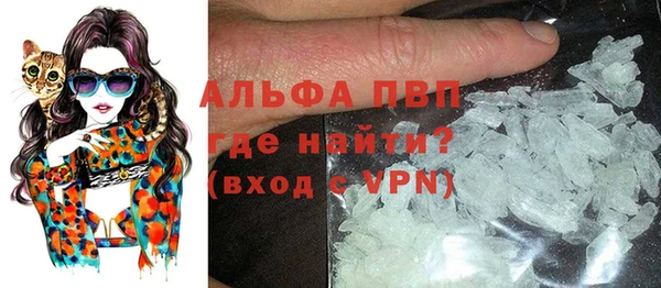 прущие грибы Аркадак