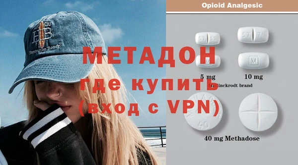 прущие грибы Аркадак