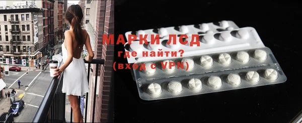 прущие грибы Аркадак